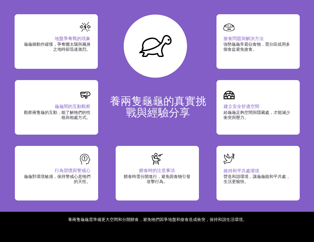 養兩隻龜龜的真實挑戰與經驗分享